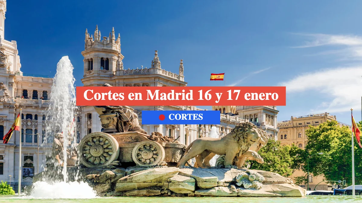 cortes Madrid 16 y 17 enero manifestación