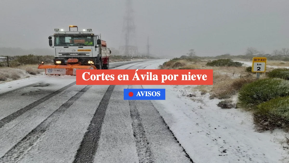 cortes en ávila por nieve 29 enero