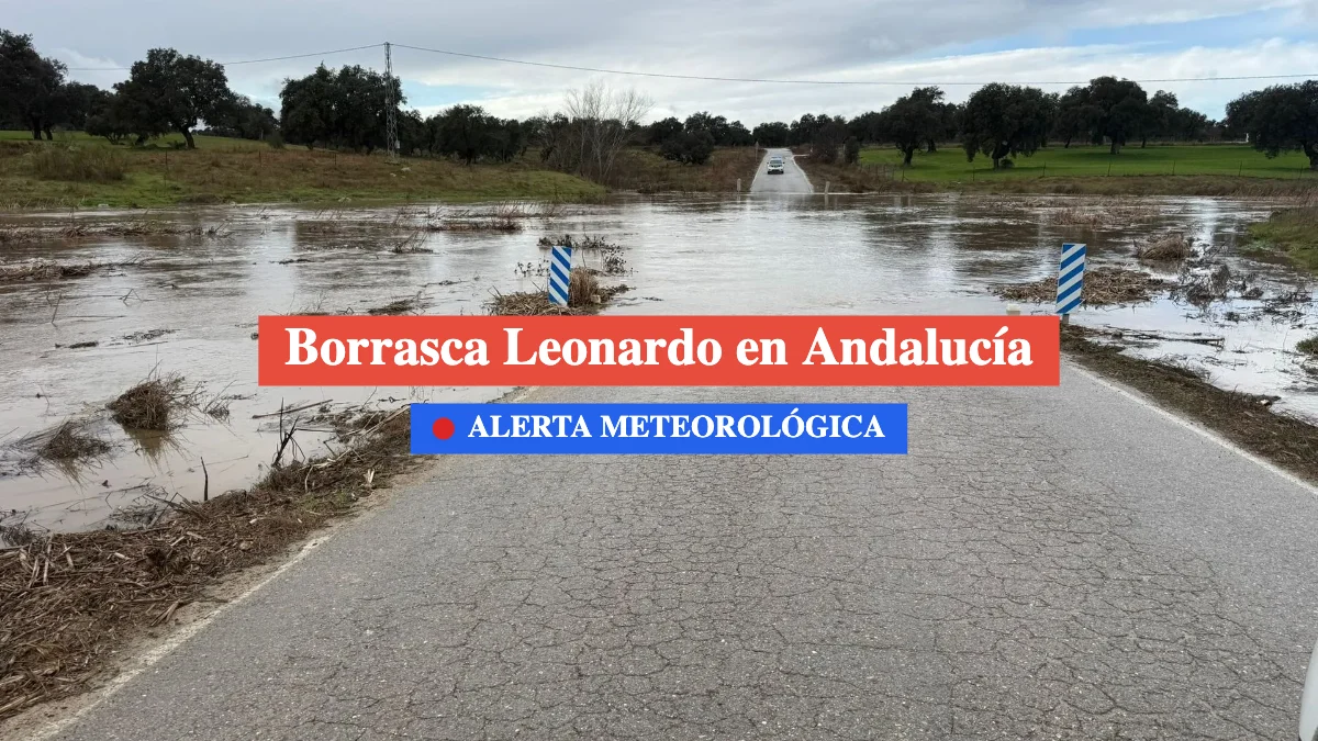 Alerta borrasca leonardo andalucía aemet
