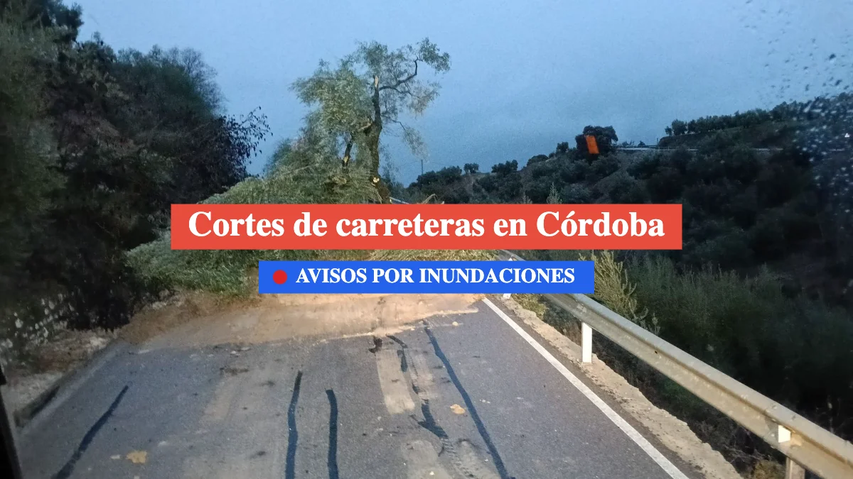 cortes en córdoba por desprendimientos e inundaciones 8 febrero