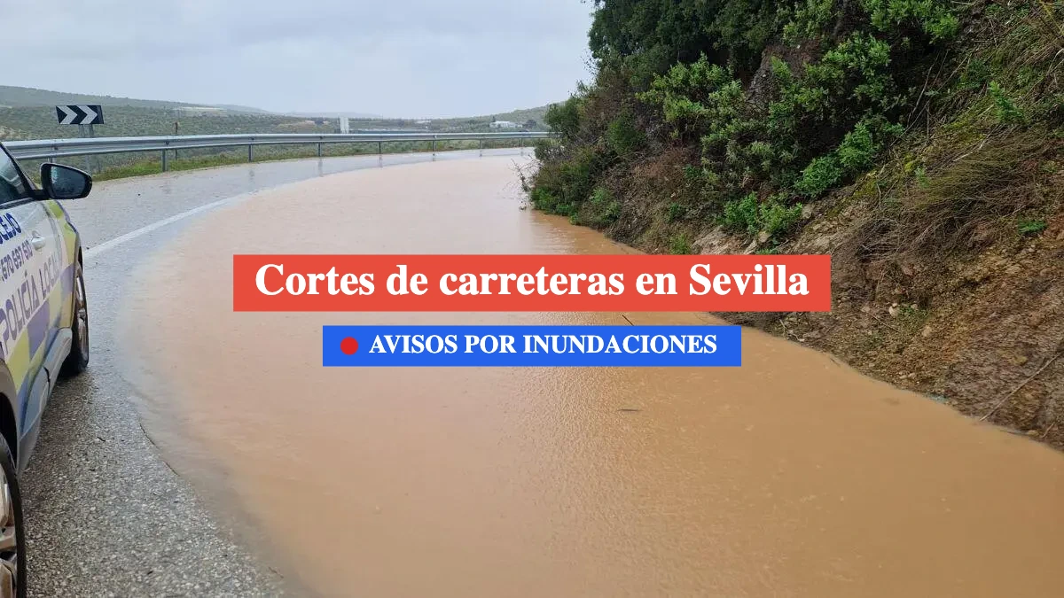 carreteras cortadas en sevilla por inundaciones 8 febrero