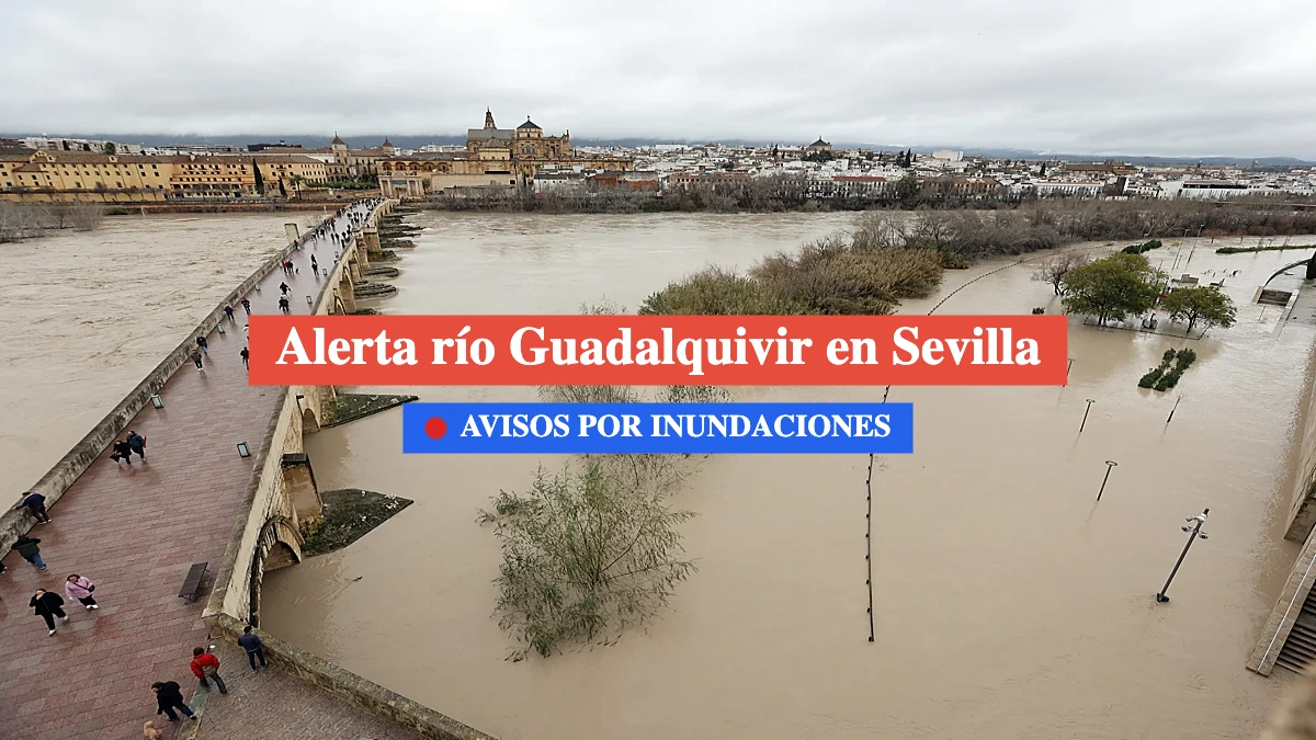 estado actual de sevilla y el guadalquivir