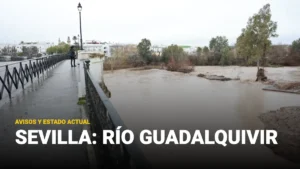 estado actual del guadalquivir en sevilla