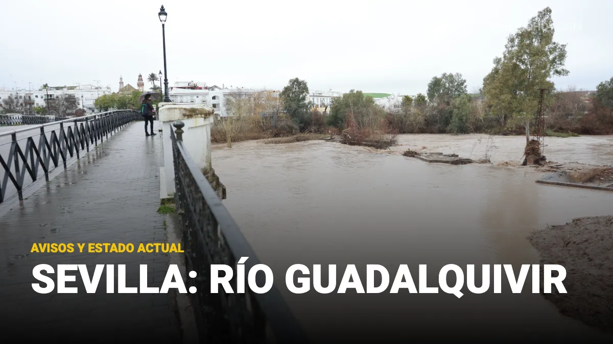 estado actual del guadalquivir en sevilla