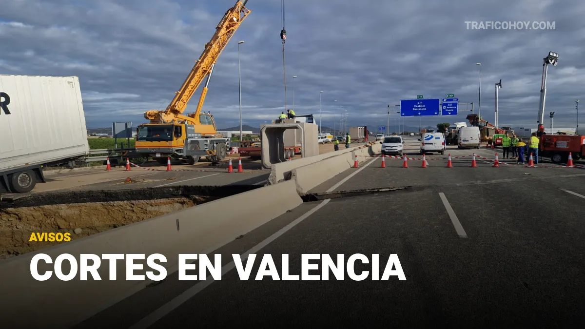 cortes en valencia 113 febrero