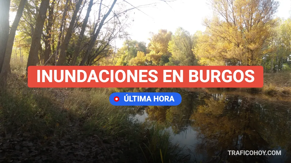 nivel del río arlanza en burgos hoy