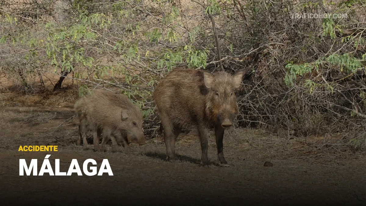 accidente en málaga