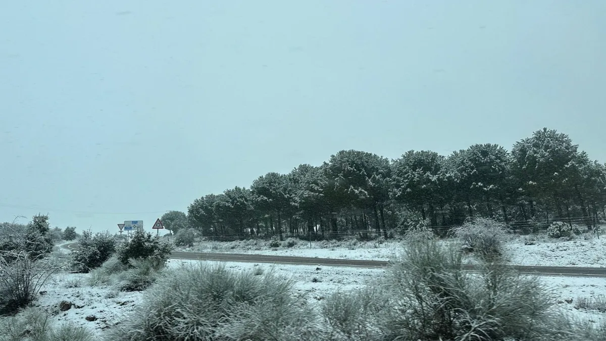 Alerta en Aragón: Nieve en el Pirineo y más de 50 incidencias en carretera este Domingo de Ramos