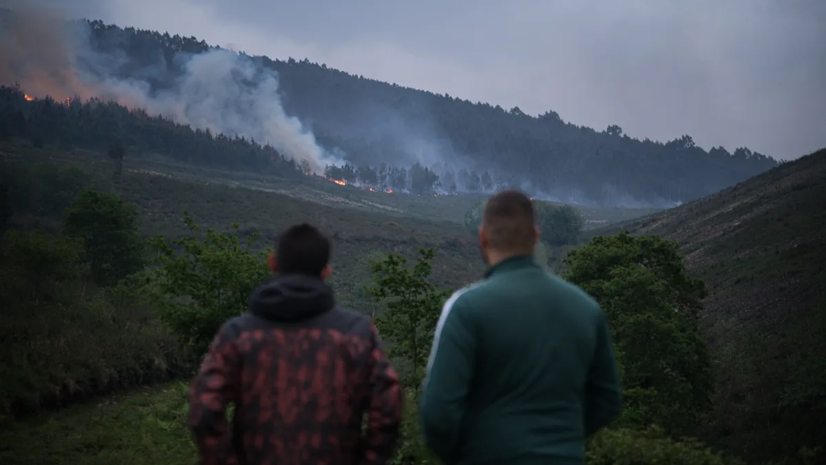 Alerta por Incendios Forestales en el Norte de España: Situación en Cantabria, Asturias y Galicia