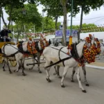 Tráfico