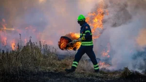 Un incendio obliga a cortar la AP-7 en ambos sentidos entre Banyeres del Penedès y Castellet i la Gornal