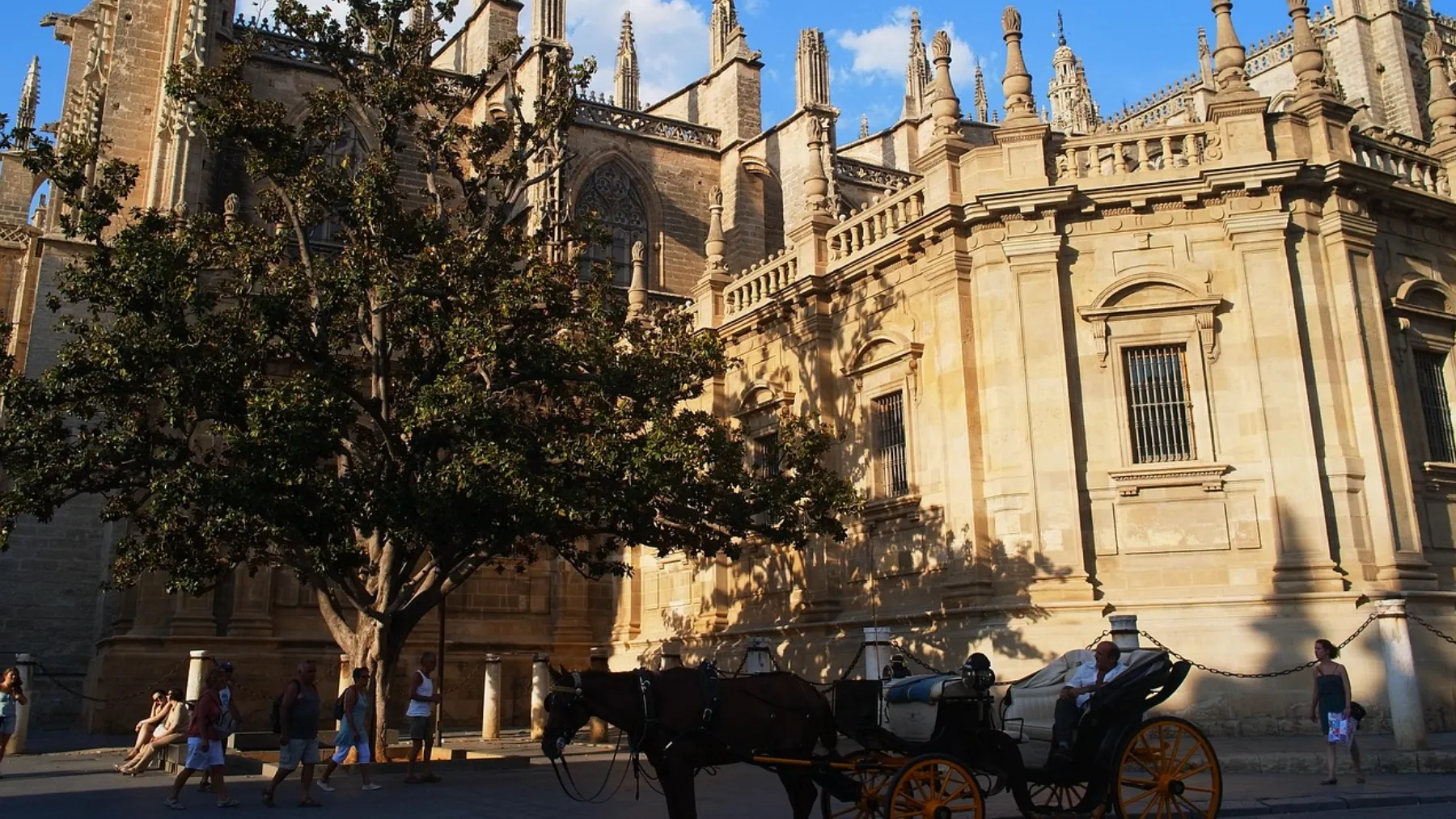 Cortes de tráfico en Sevilla por las obras de Pagés del Corro: calles cerradas y cambios desde el 29 de junio