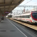 Trenes detenidos entre Zaragoza y Canfranc por una rama de árbol sobre la vía: afectados dos Media Distancia