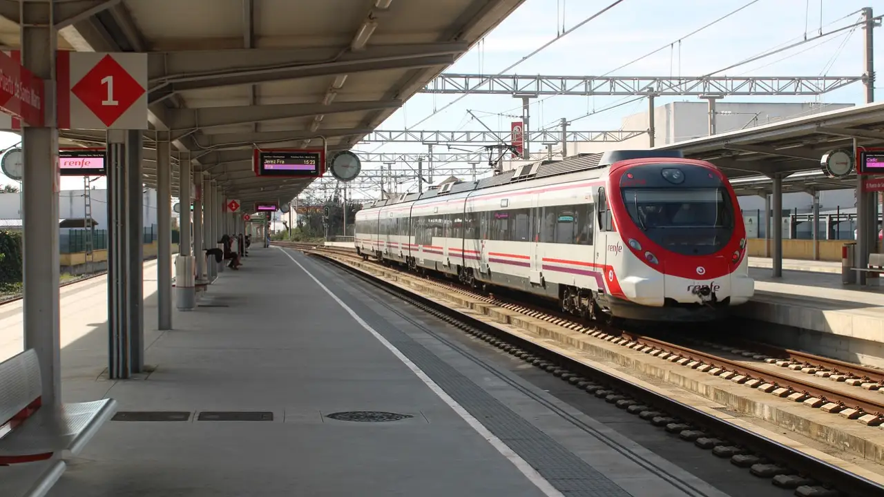 Trenes detenidos entre Zaragoza y Canfranc por una rama de árbol sobre la vía: afectados dos Media Distancia