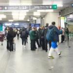 Tráfico