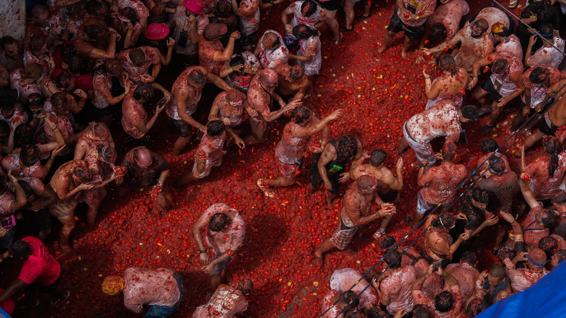 La Tomatina de Buñol 2026: fecha, horario y precio de las entradas