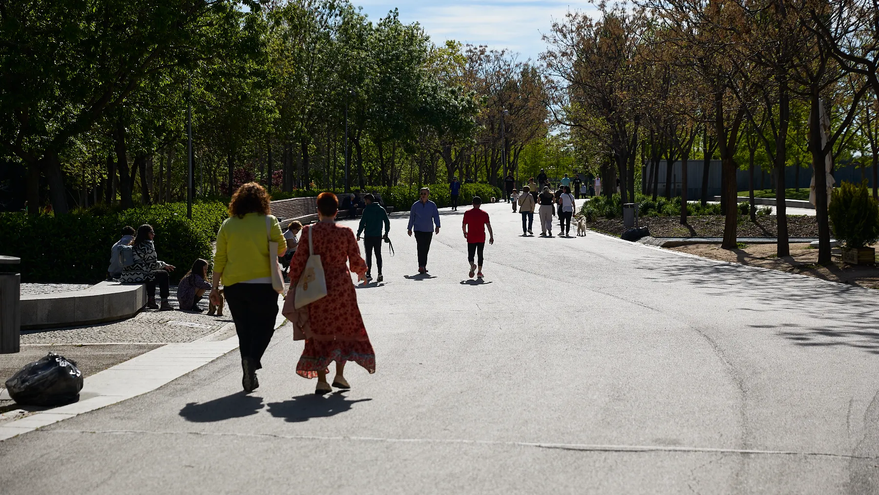 Parque Madrid Río: cómo llegar en metro, bus o coche (guía completa 2026)