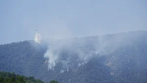 Incendios cortan la M-510 y la M-507 en Madrid y otras cuatro carreteras en Cáceres, Zamora y Ourense