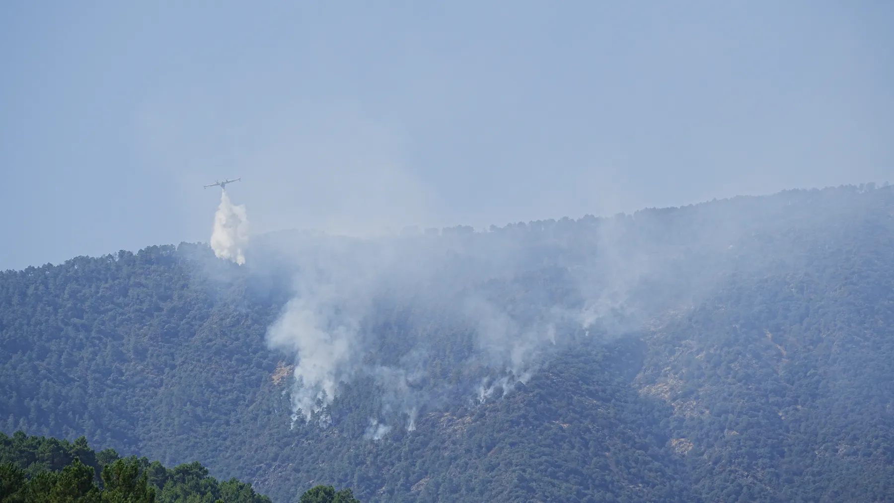Incendios cortan la M-510 y la M-507 en Madrid y otras cuatro carreteras en Cáceres, Zamora y Ourense