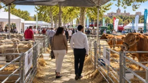 FERAGA 2026 en San Clemente: fechas, horario y programa de la Feria Agrícola y Ganadera de Cuenca